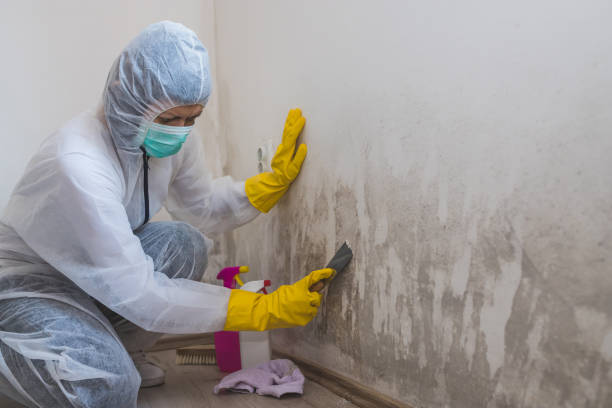 Best Mold Testing  in Milford, UT