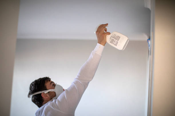 Best Professional Mold Removal  in Milford, UT