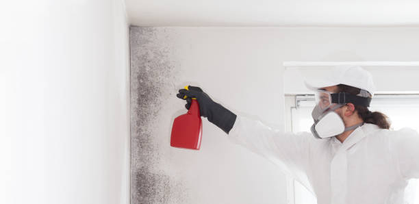 Best Mold Cleaning Services  in Milford, UT