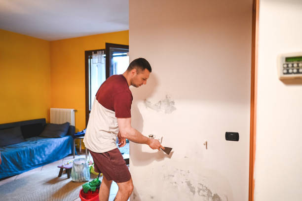 Best Toxic Mold Removal  in Milford, UT